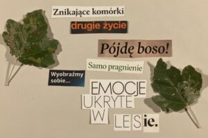 WhatsApp Image 2025-09-26 at 13.13.16 (2)