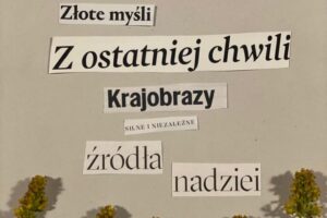 WhatsApp Image 2025-09-26 at 13.13.17