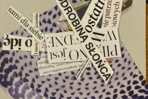 WhatsApp Image 2025-09-26 at 13.44.11 (2)