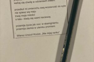 WhatsApp Image 2025-09-26 at 13.44.11 (4)