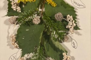 WhatsApp Image 2025-09-26 at 13.44.11