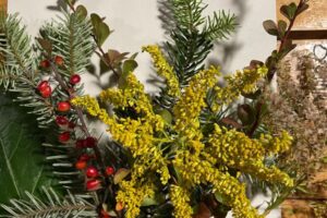 WhatsApp Image 2025-09-29 at 17.51.49