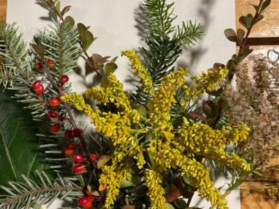 WhatsApp Image 2025-09-29 at 17.51.49 WhatsApp Image 2025-09-29 at 17.51.49