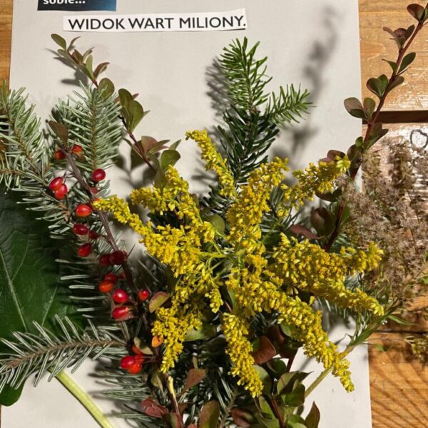 WhatsApp Image 2025-09-29 at 17.51.49