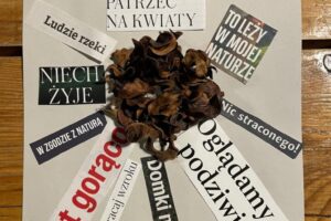 WhatsApp Image 2025-09-29 at 17.52.13